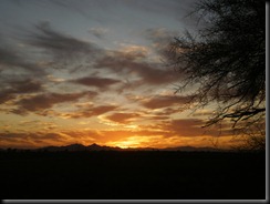 ehrenberg-10-2011