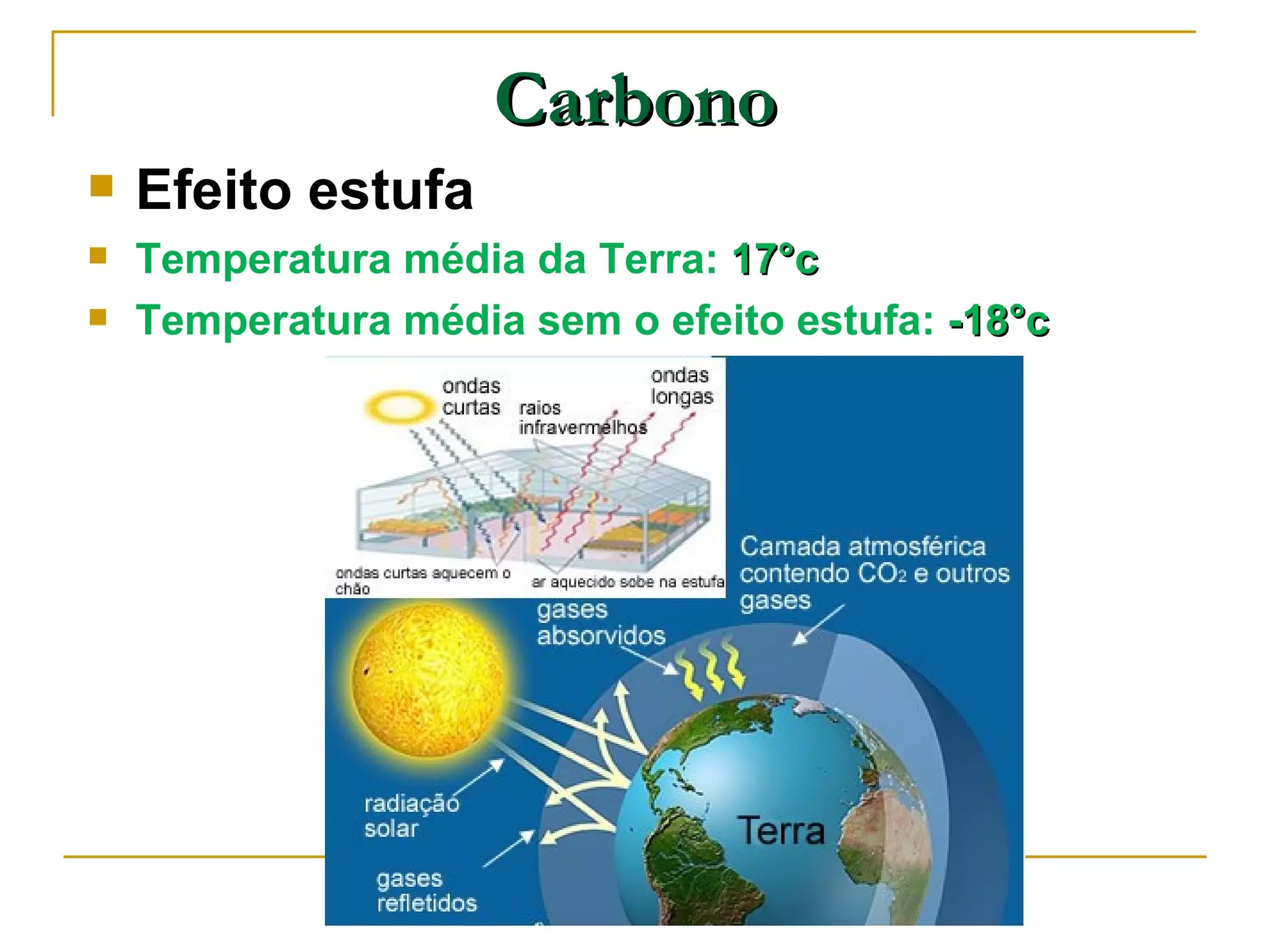 CICLO DO CARBONO