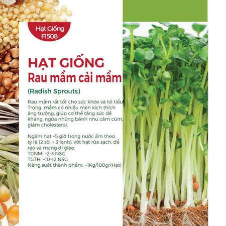 Hạt giống rau mầm Cải mầm - Gói 1Kg