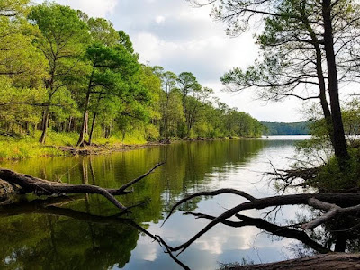 Caddo Lake State Park, Texas