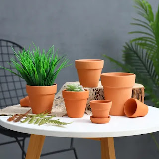 Chậu đất nung mini