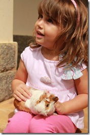 Resize of IMG_2871
