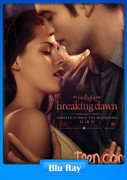 The Twilight Saga Breaking Dawn Part 1 2011 BRRip 480p 350MB x264