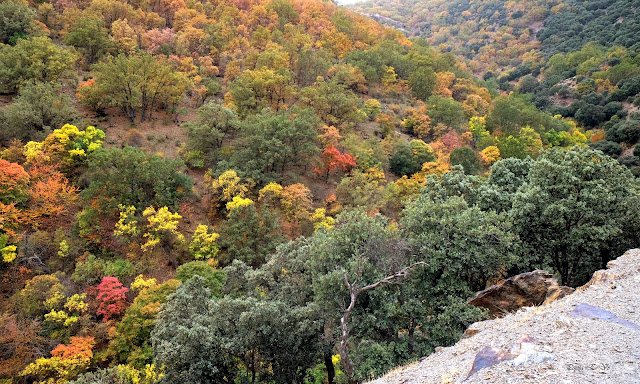 Dehesa del Camarate, Bosque encantado,  Lugros, ruta