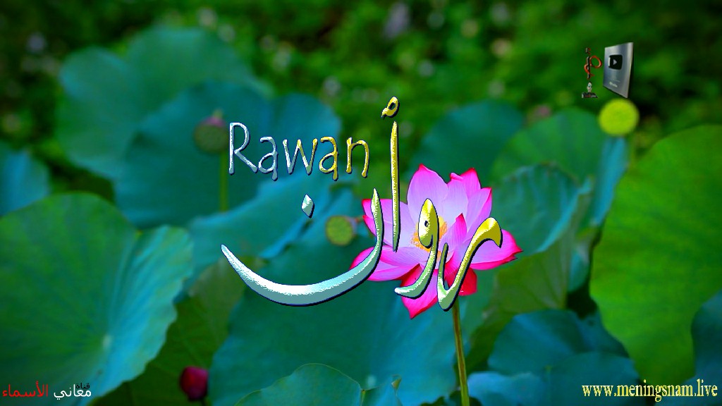 معنى اسم, روان, وصفات, حاملة, هذا الاسم, Rawan,