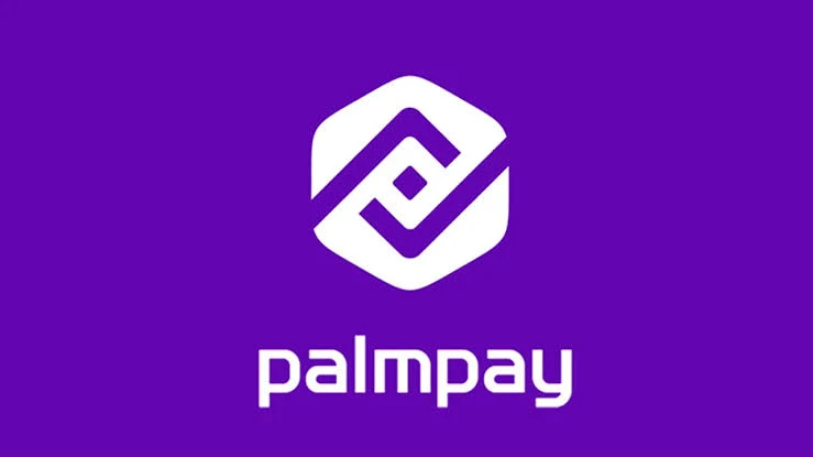 PalmPay Net Worth