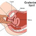 About the G-Spot for a Man to Know