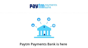 Paytm Payments Bank to pay this much interest and more here