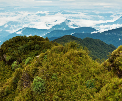 Forest and Vegetation Types of Nepal - Forest