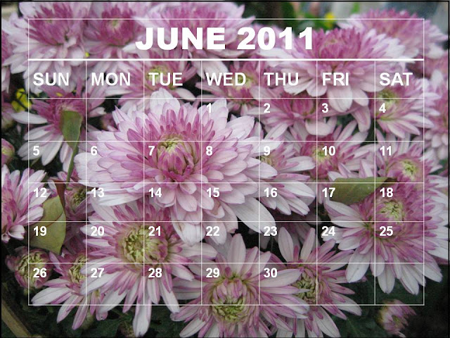 june 2011 calendar. blank june 2011 calendar.