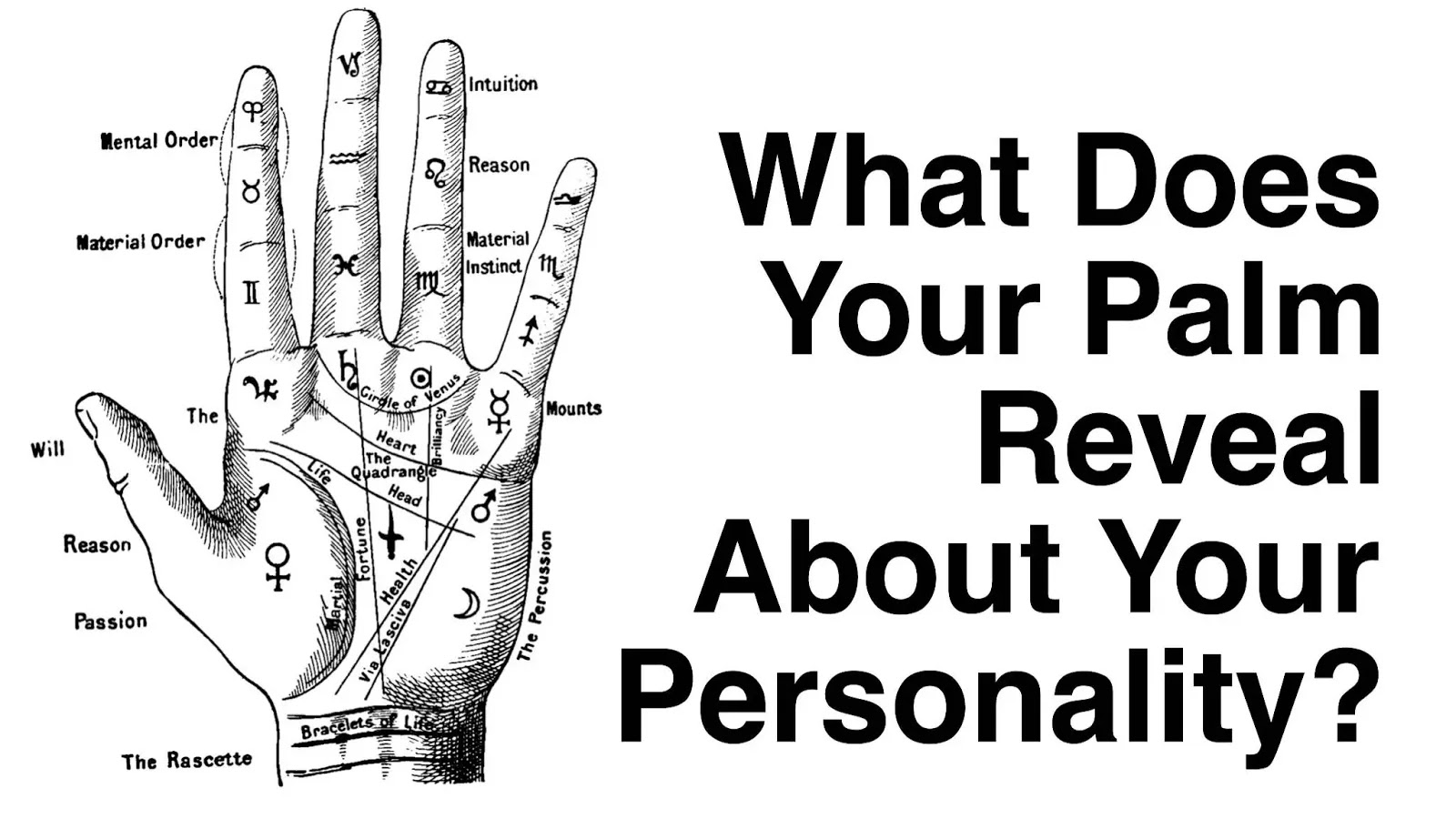 Romantic Woman Or Business Woman? The Palm Of Your Hand Reveals Your True Personality