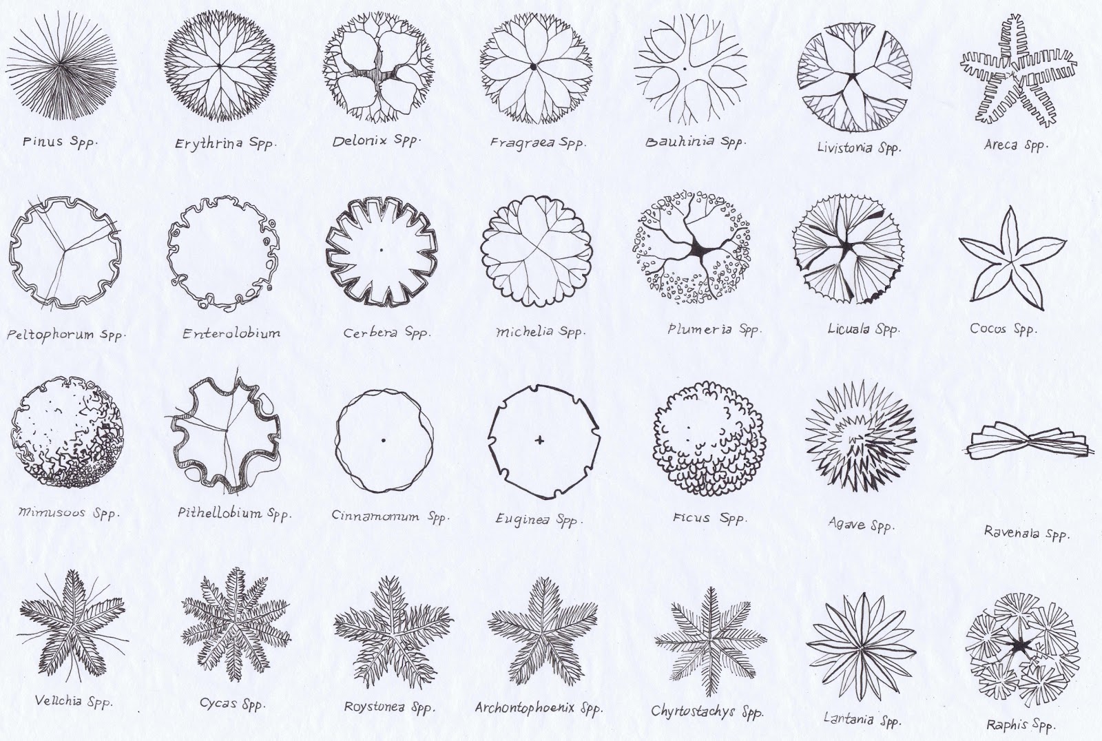 Landscape Design Drawings