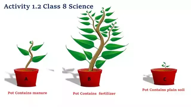 Activity 1.2 Class 8 Science Crop Production and Management