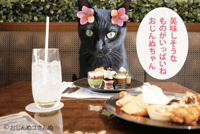 黒猫が食べ物の乗った席にいる合成写真1