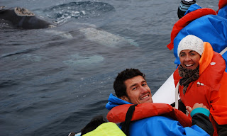 Foto de Salto de ballena en los Avistajes de Ballena de Península Valdés