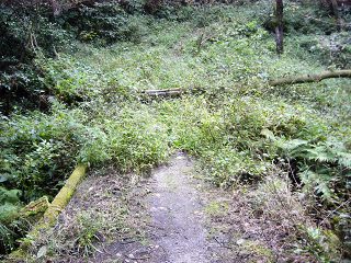 P1050784