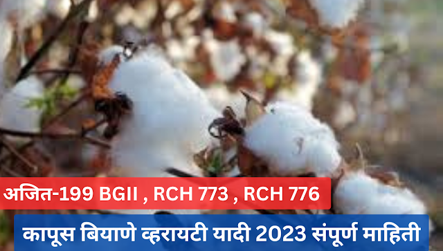 कापूस बियाणे व्हरायटी यादी अद्यतनित: अजित-199 BGII, RCH 773 2023 | cotton seed variety list updated :अजित-199 BGII , RCH 773 2023