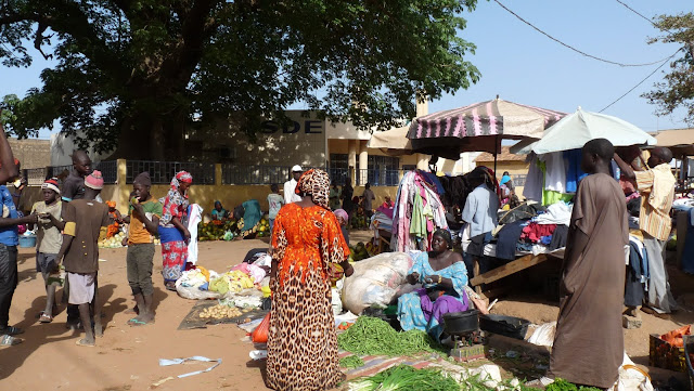 Road trip intense de 11 jours au Sénégal avec Travels Roads