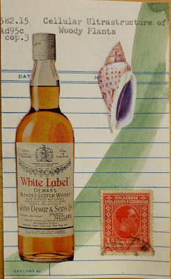 Dewars bottle vintage ad postage stamp seashell Cellular Ultrastructure of Woody Plants library card Dada Fluxus mail art collage