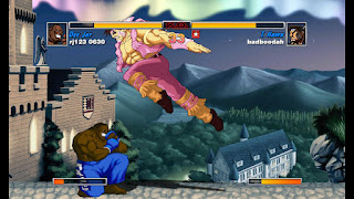 Capture d’un combat issu du jeu Street Fighter