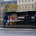 Les bouquinistes sous la pluie