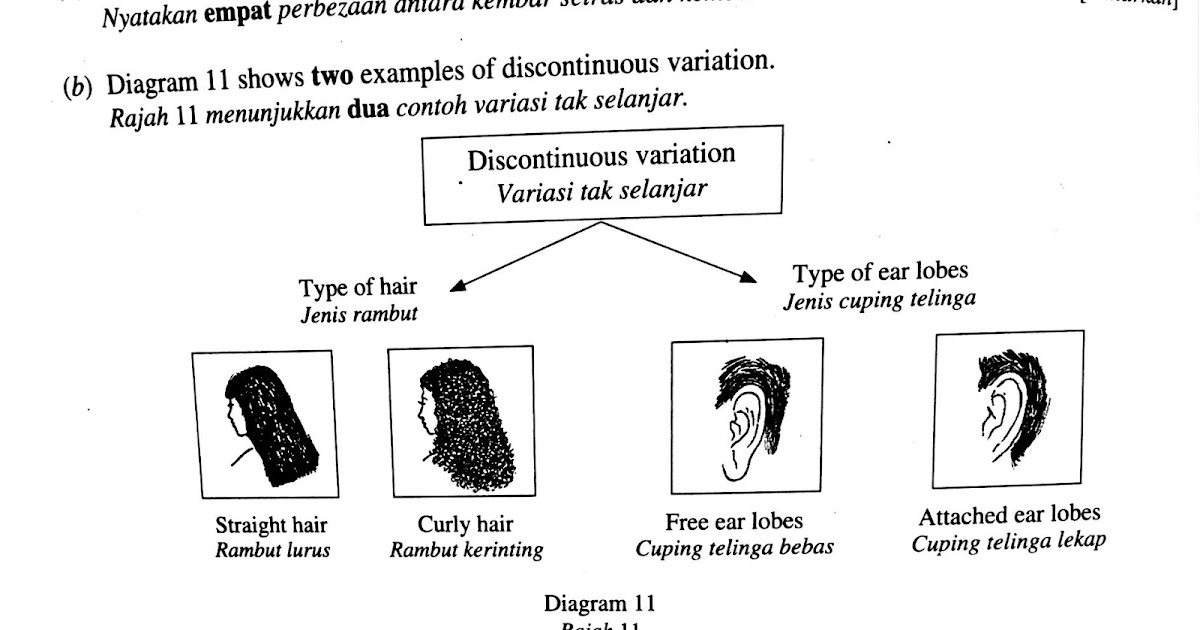 Contoh Soalan Variasi - Dralle Damen