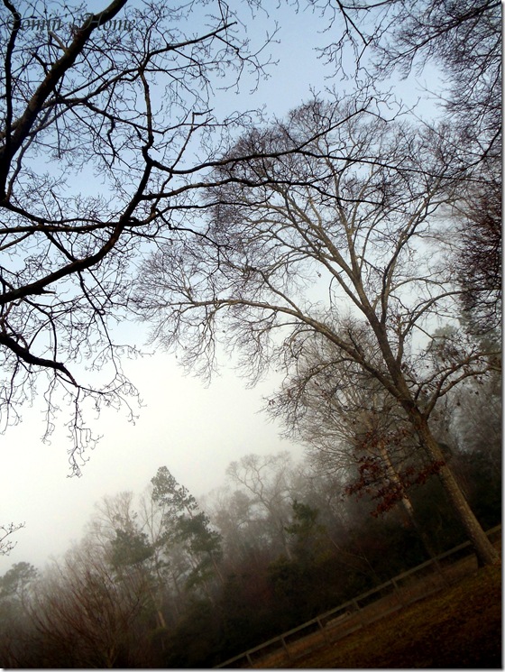 Blue sky on a Foggy Day