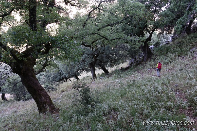 Crestería Sierra de Líbar y Mojón Alto