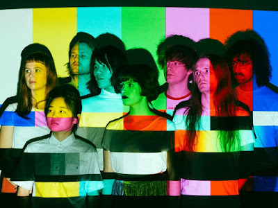 Superorganism