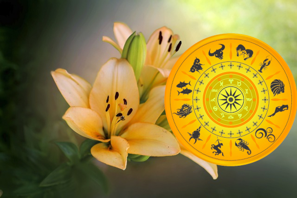 Horoscopul zilei de marți, 2 august 2022