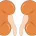 Bosniak Cyst/Renal Cyst/Kidney Cyst: Risk of Cancer or Not