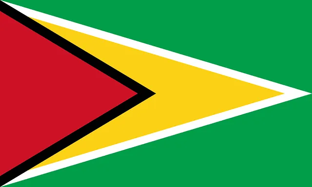 Bendera Negara Guyana