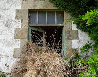 urbex-ferme-girouettes-végétation-jpg