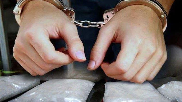 Miliki Sabu 65,86 Gram, Warga Ini Diciduk Polisi
