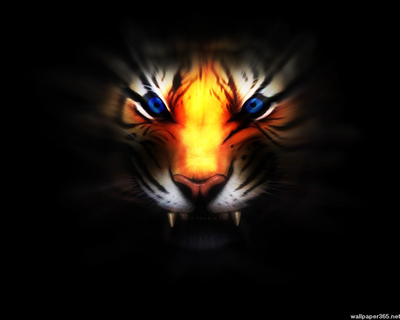 3D Wallpaper Tiger, Wallpaper, Wallpapers, Desktop Wallpaper, HD