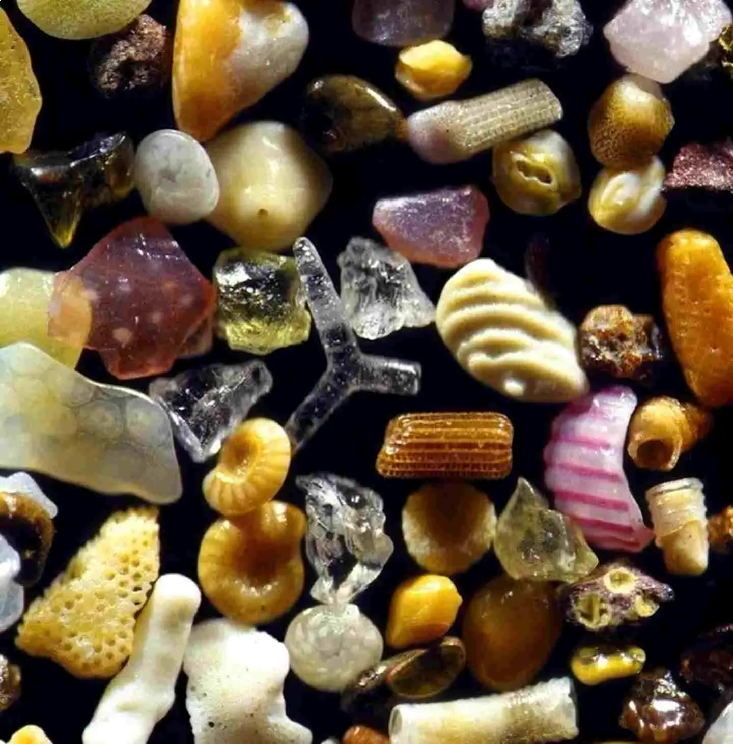 Sand Looks Magnified Up To 300 Times sand under microscope