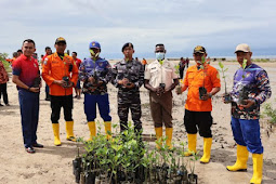 Rayakan HUT Basarnas ke-51, Sat Polairud Polres Merauke Ikut Tanam Pohon Mangrove 