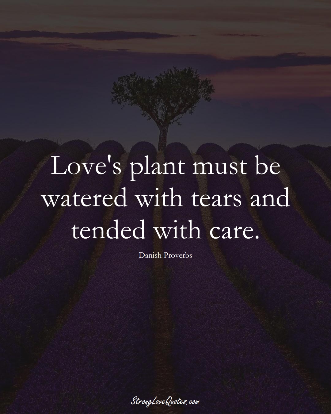 Love's plant must be watered with tears and tended with care. (Danish Sayings);  #EuropeanSayings