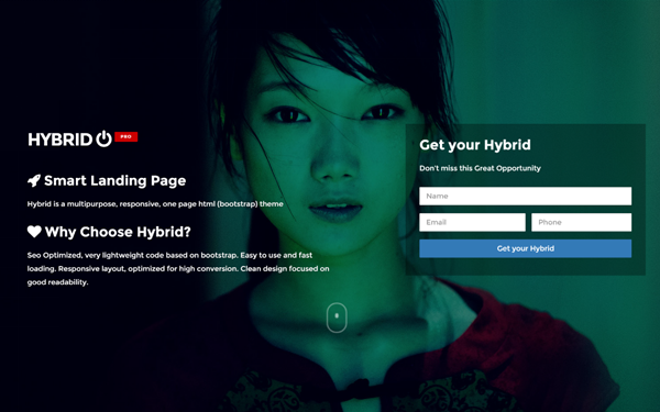 Download Hybrid - Multipurpose Landing Page Bootstrap Templates v1.3