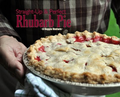 Perfect Rhubarb Pie
