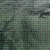THE GEOPOLITICAL IMPERATIVE TO UPGRADE THE DOLLAR / PROJECT SYNDICATE