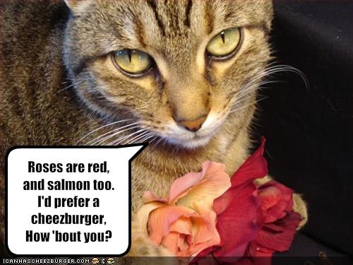 Posted by Valentine Cards Funny I Love You Cards. Posted by Valentine Cards