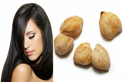Manfaat Kemiri Untuk Rambut Dan Kesehatan