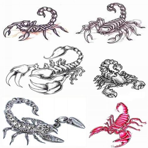 Scorpion Tattoo Pictures tribal scorpion tattoos 5 tattoo scorpion tribal