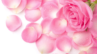 LOVE ROSE FLOWER IMAGES