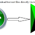 How IDM download torrent file