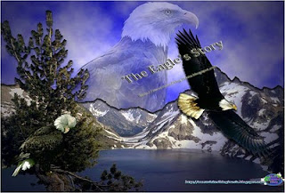 The Eagle's Story, Eagle Protection, Eagles