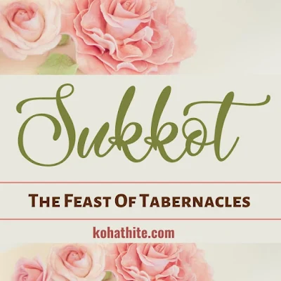 Sukkot - The Feast Of Tabernacles - Festival Of Ingathering - Questions And Answers