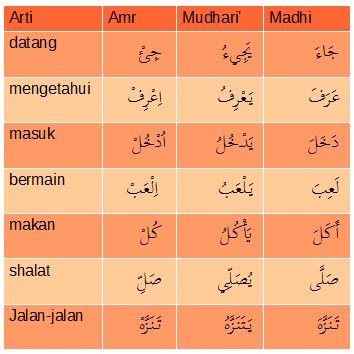 daftar fi'il madhi - mudhari - amr