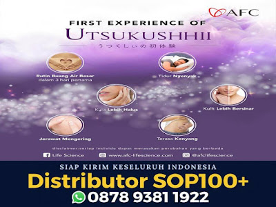 Utsukushii Untuk Rambut